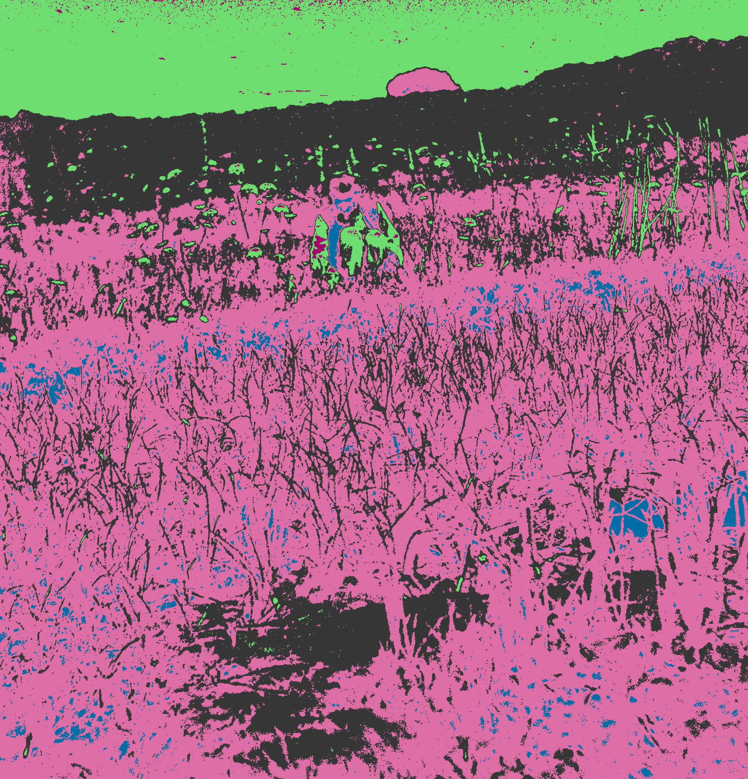 Recoloring of 