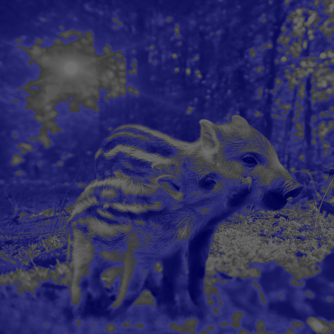 Recoloring of 