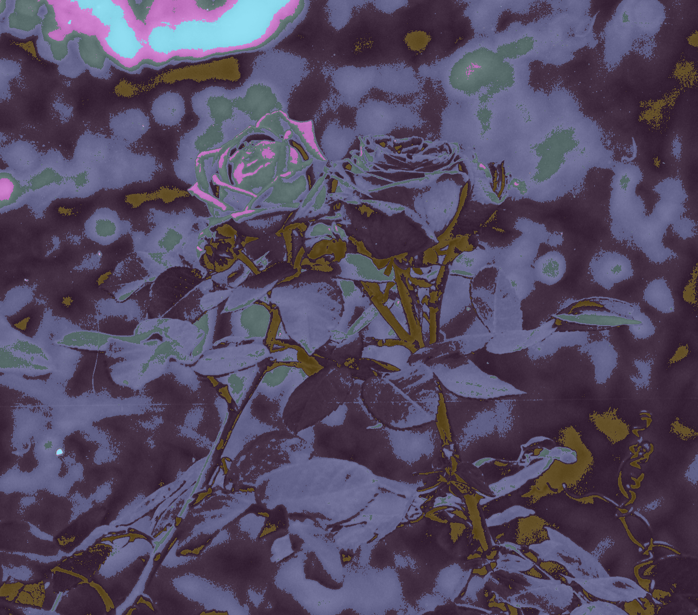 Recoloring of 