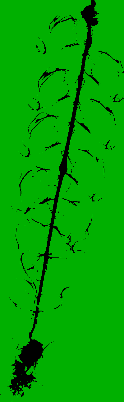Recoloring of 