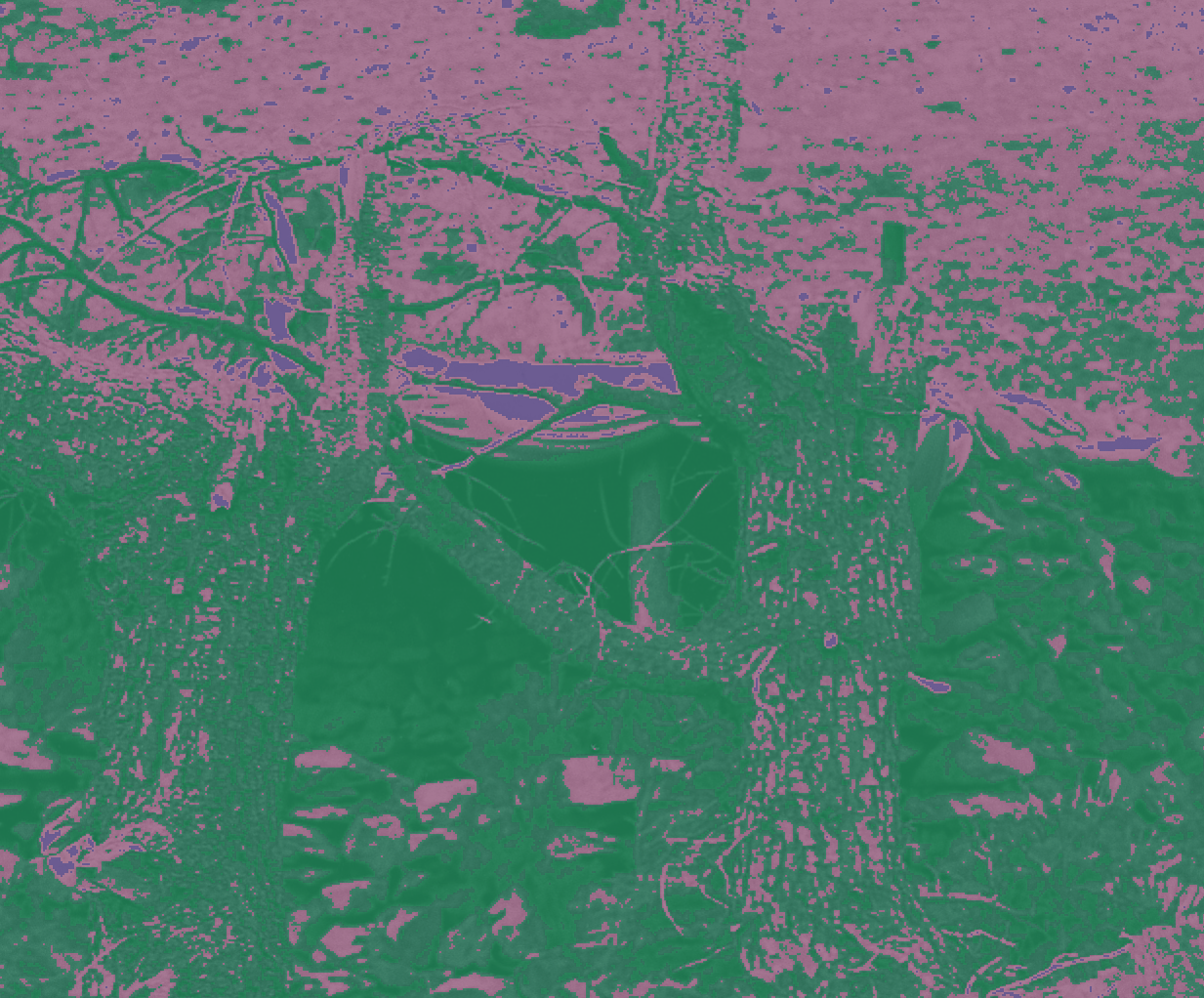 Recoloring of 
