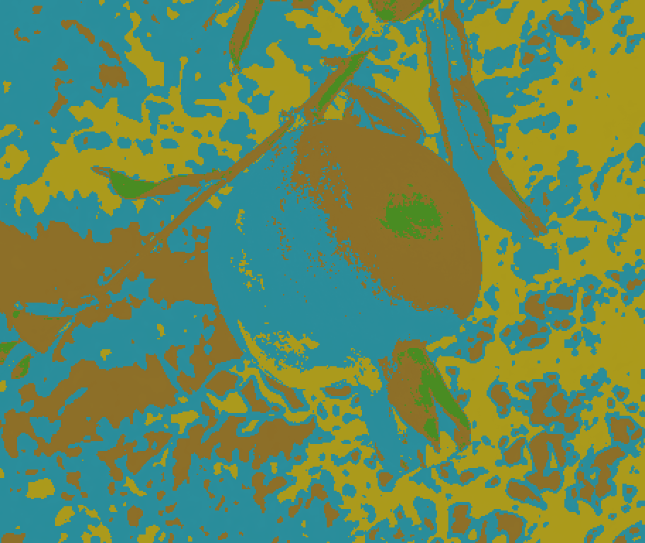 Recoloring of 