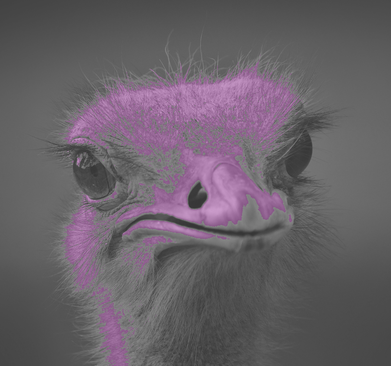 Recoloring of 