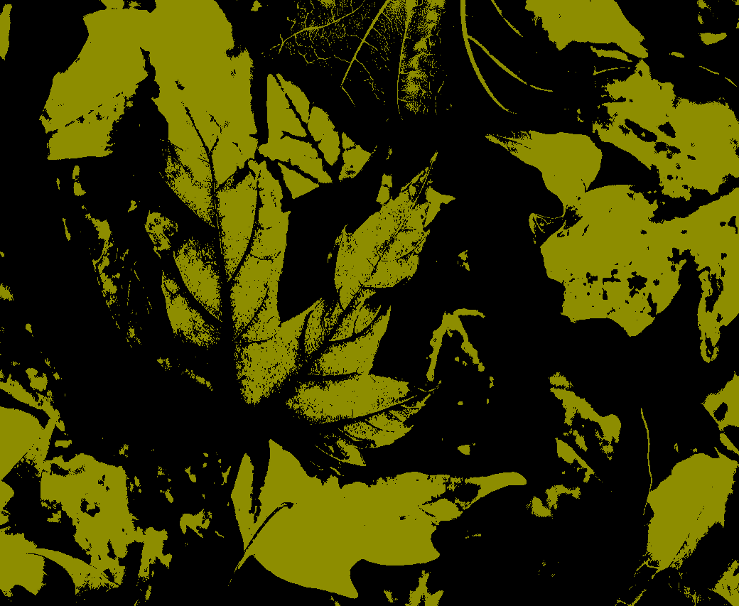 Recoloring of 