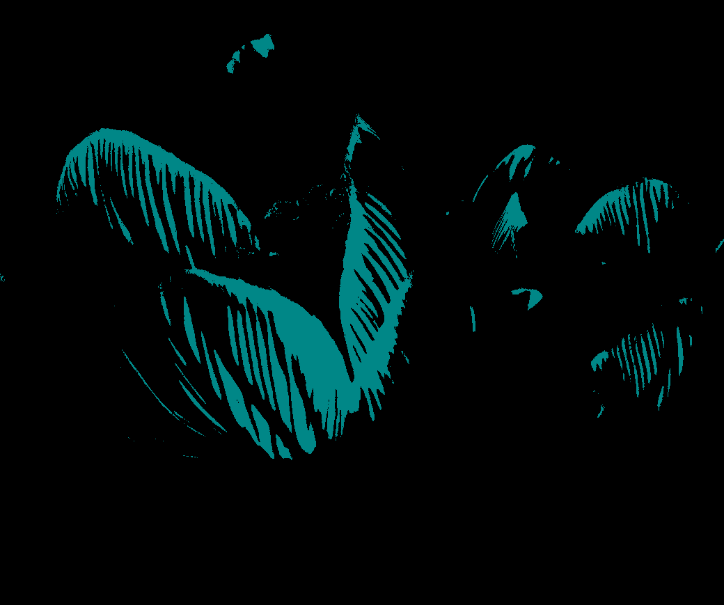 Recoloring of 