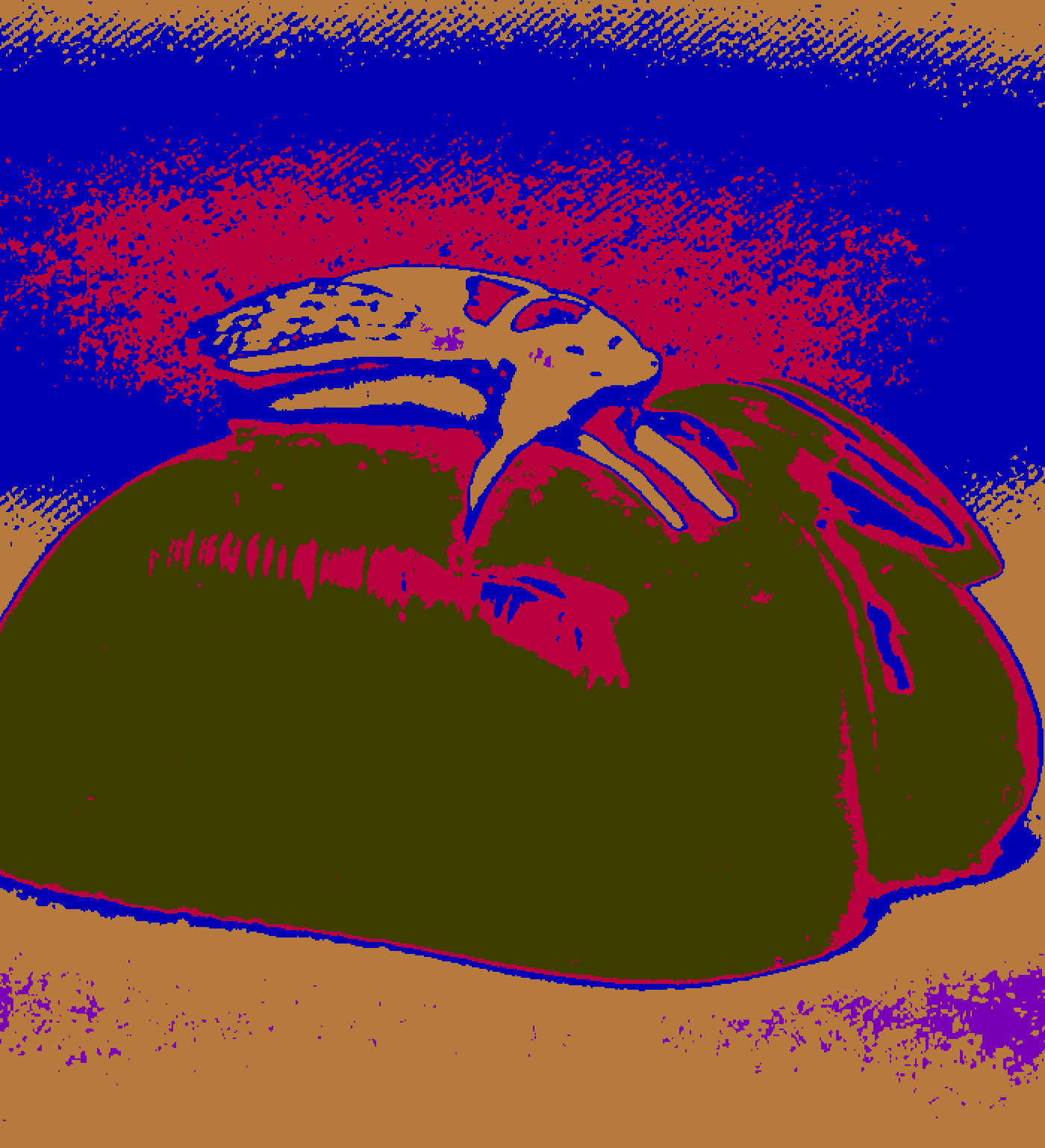 Recoloring of 