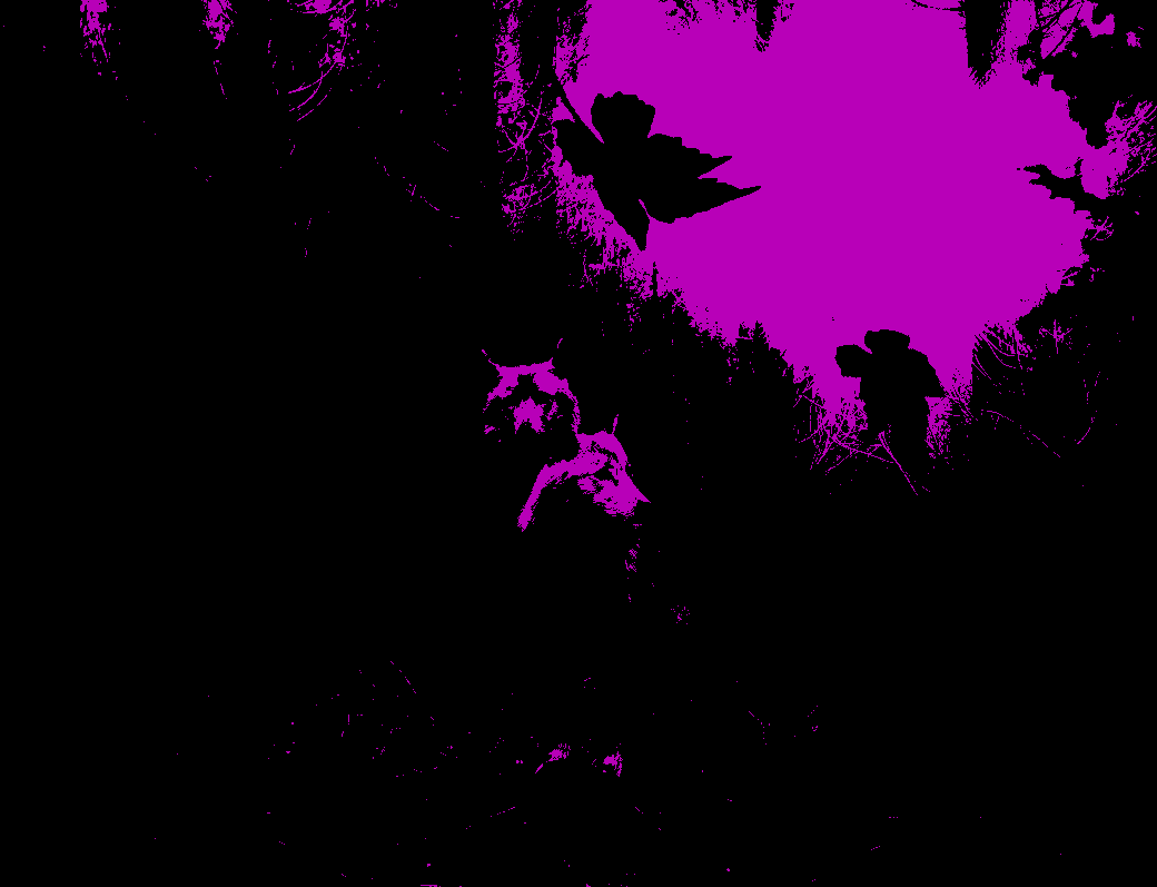 Recoloring of 