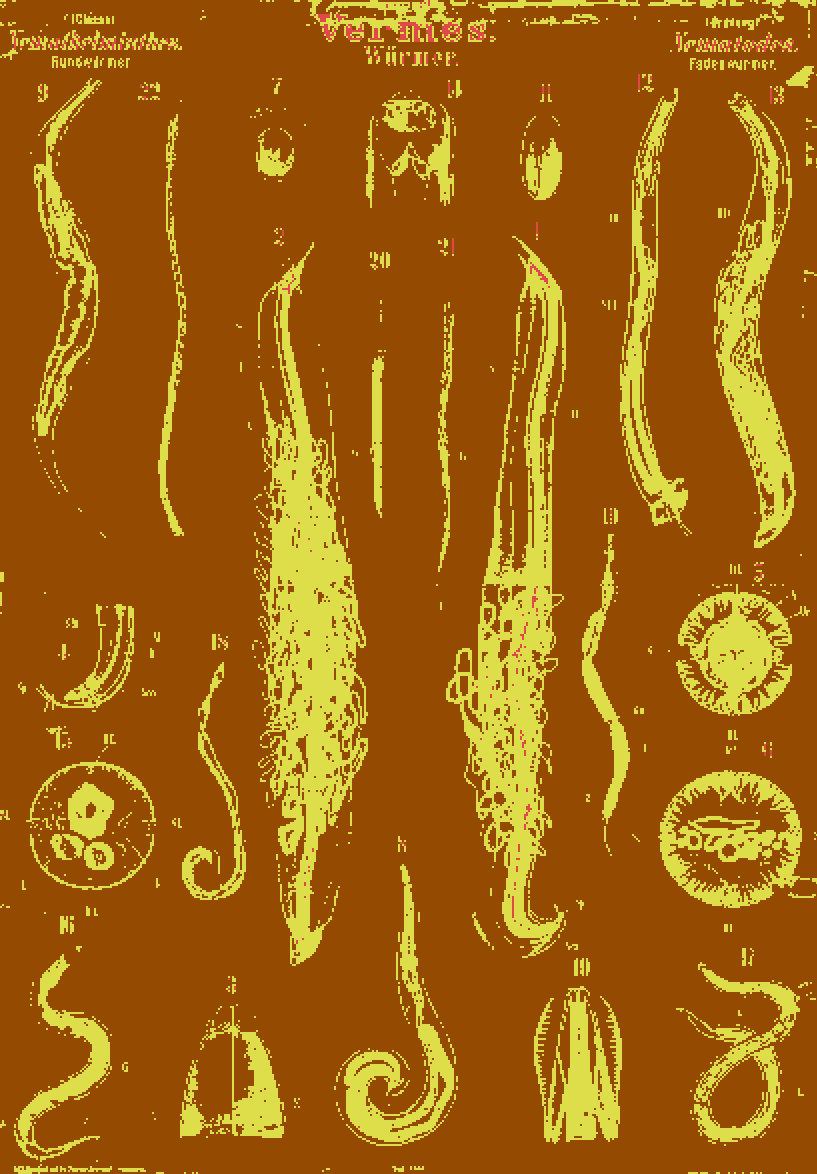 Recoloring of 