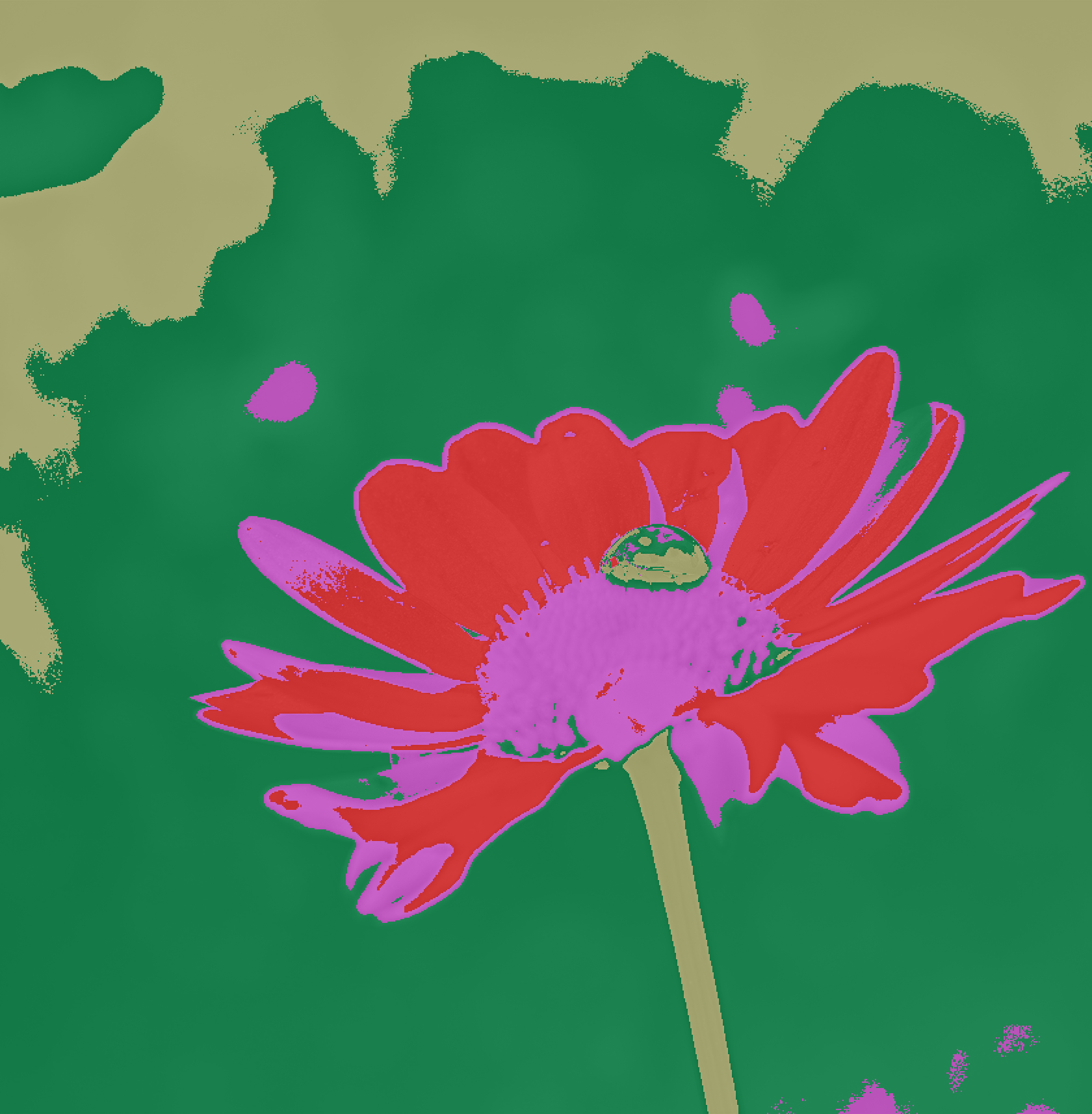 Recoloring of 