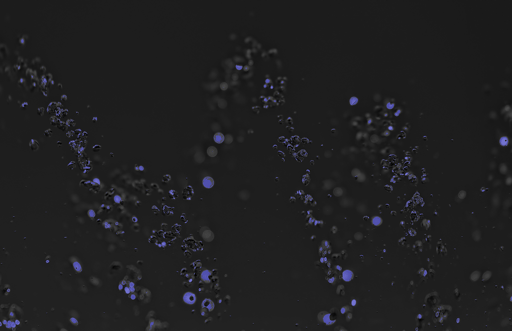 Recoloring of 