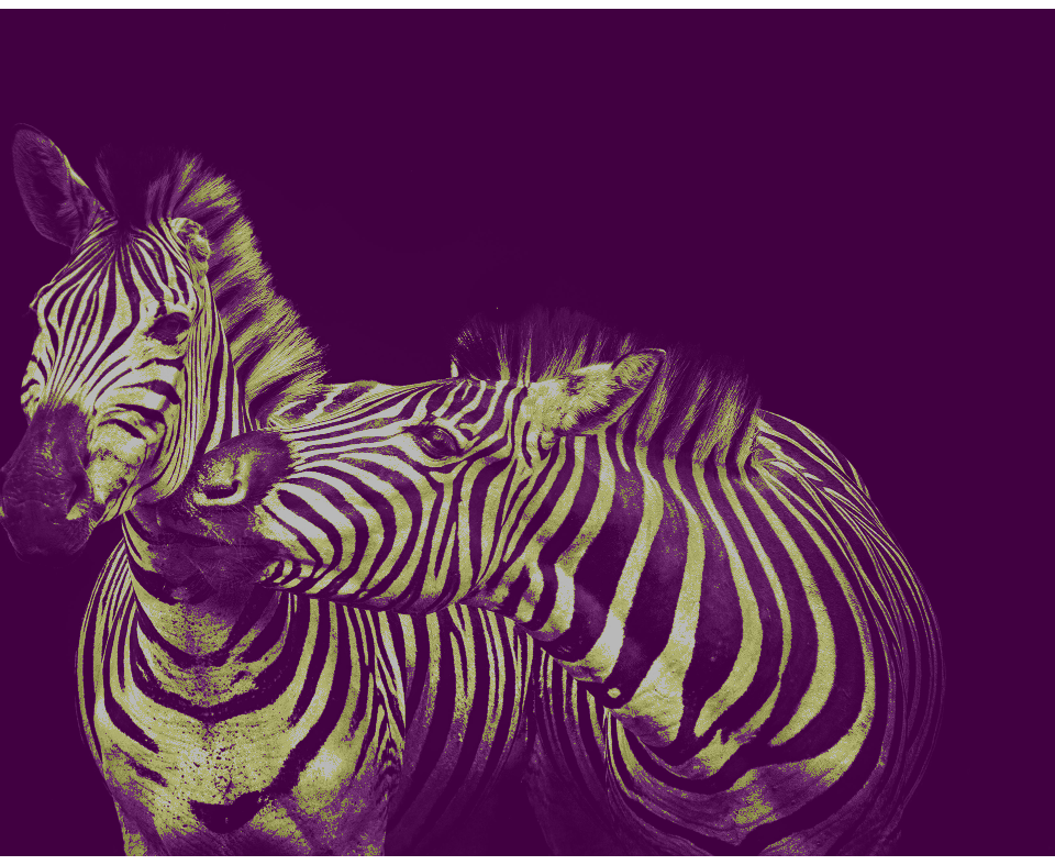 Recoloring of 