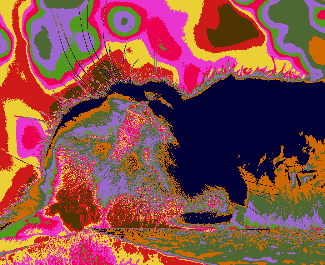 Recoloring of 
