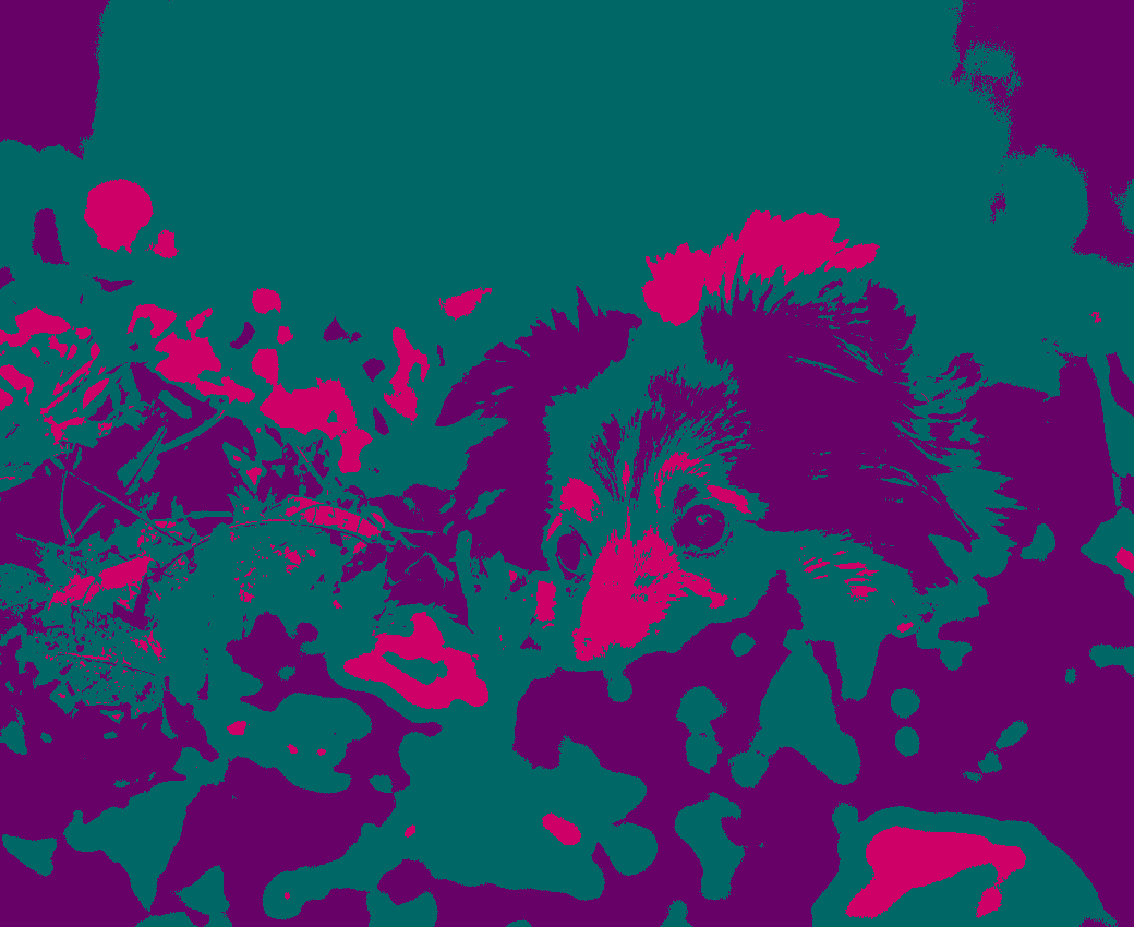 Recoloring of 
