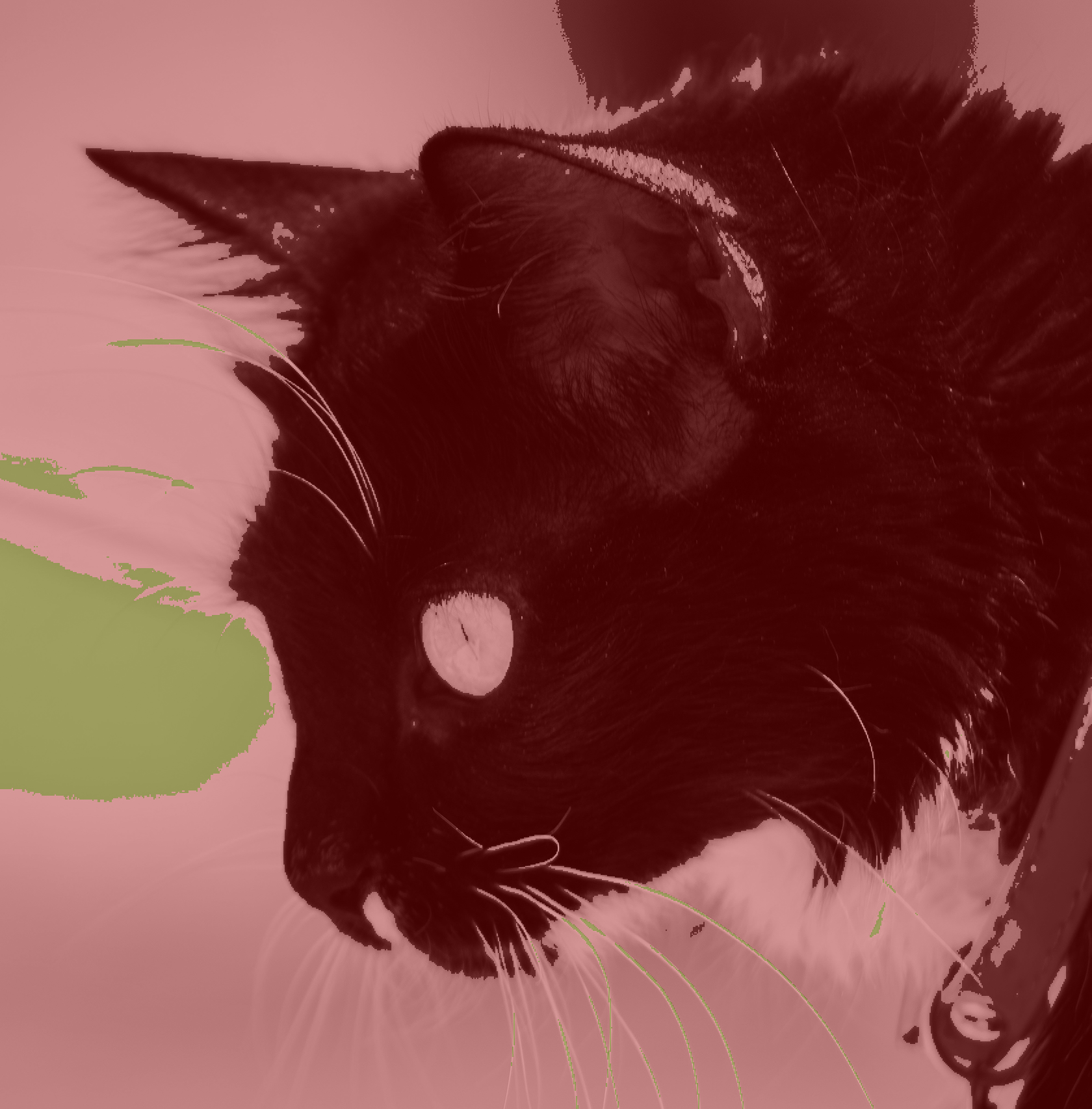 Recoloring of 
