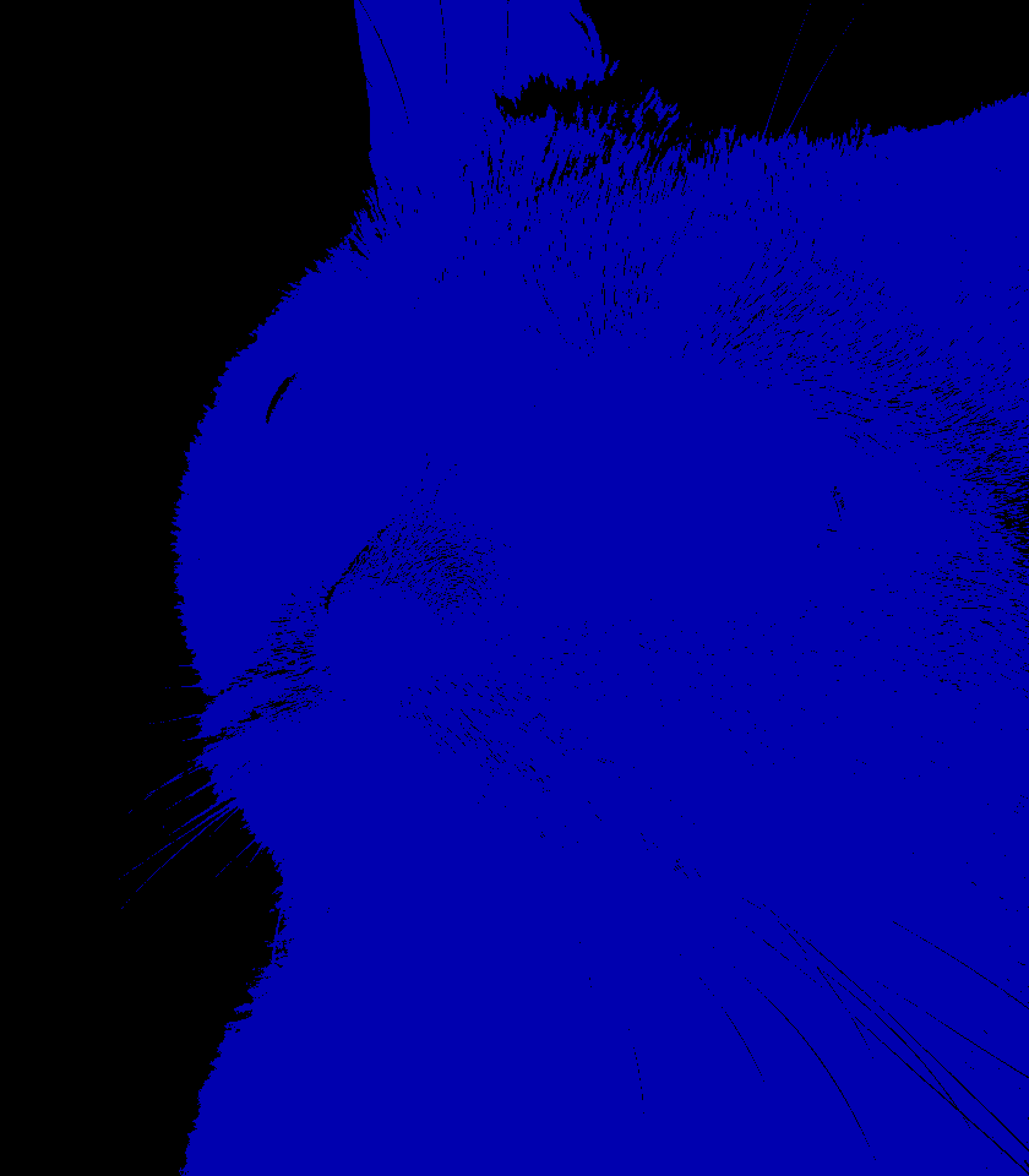 Recoloring of 