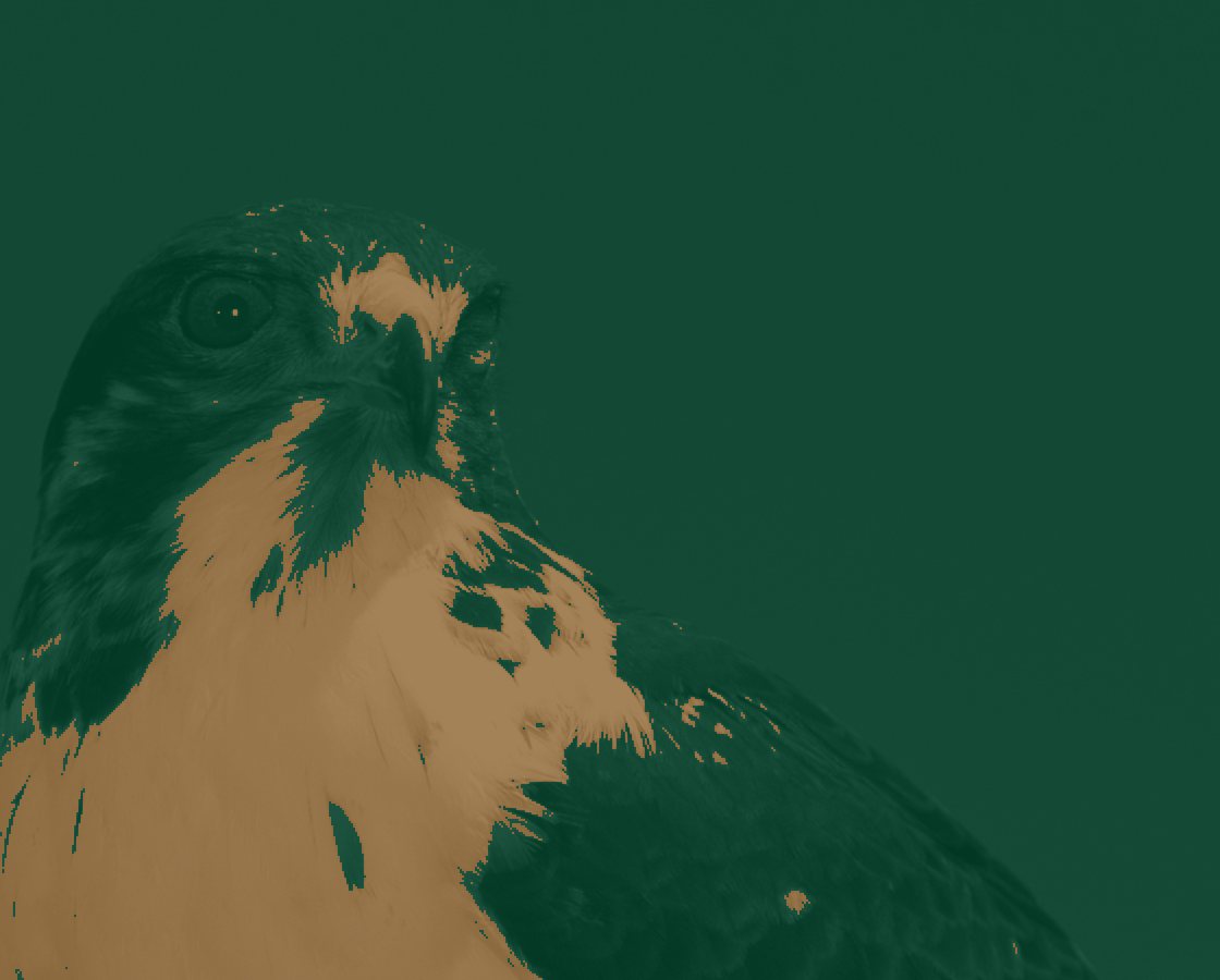 Recoloring of 