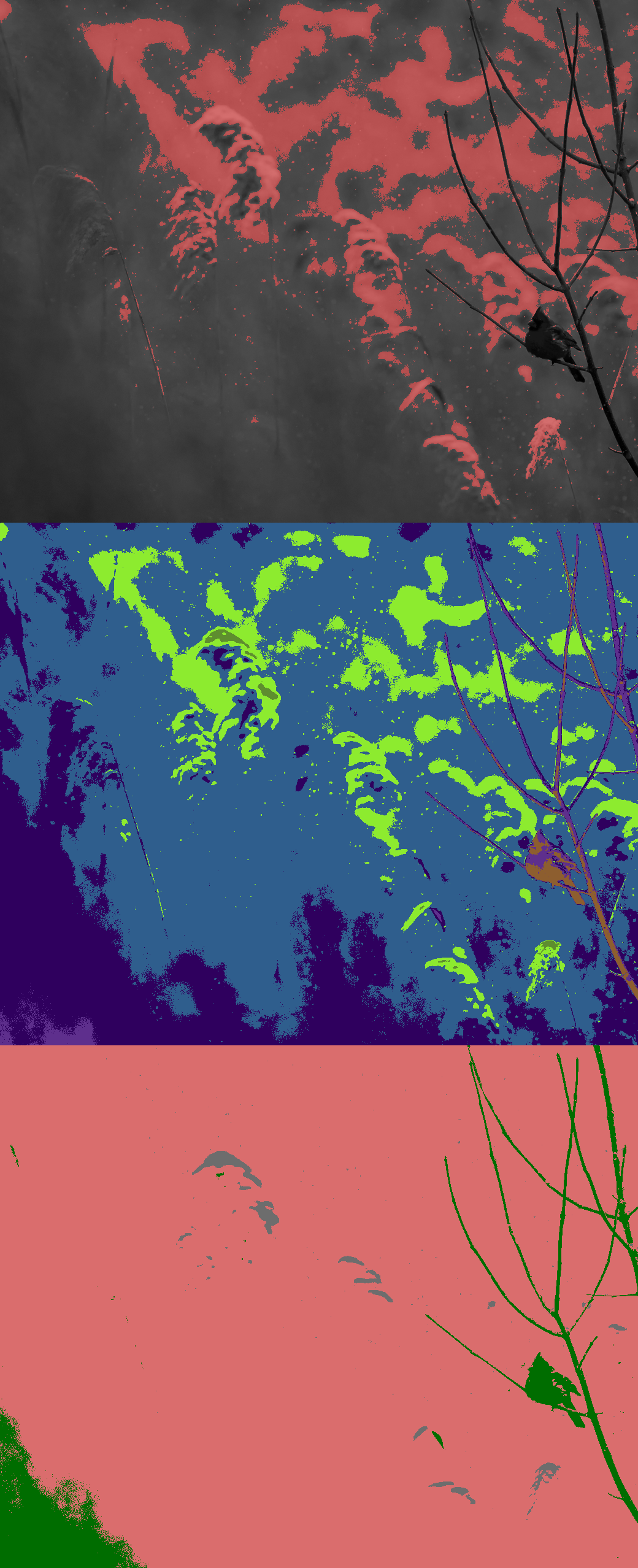 Recoloring of 