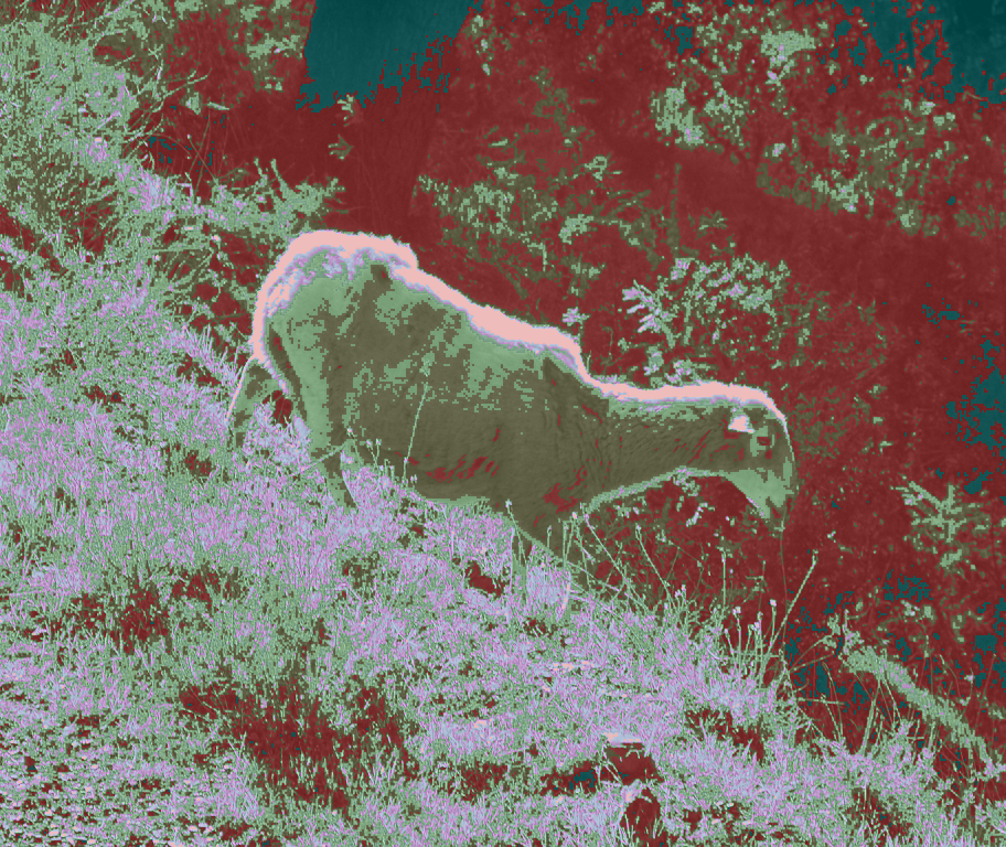 Recoloring of 