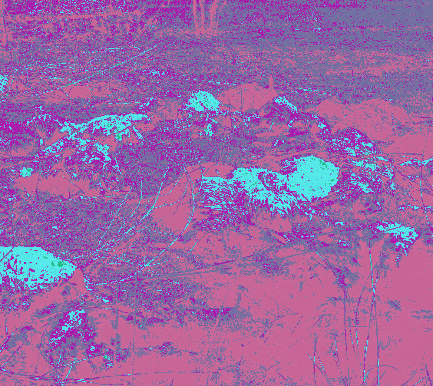 Recoloring of 