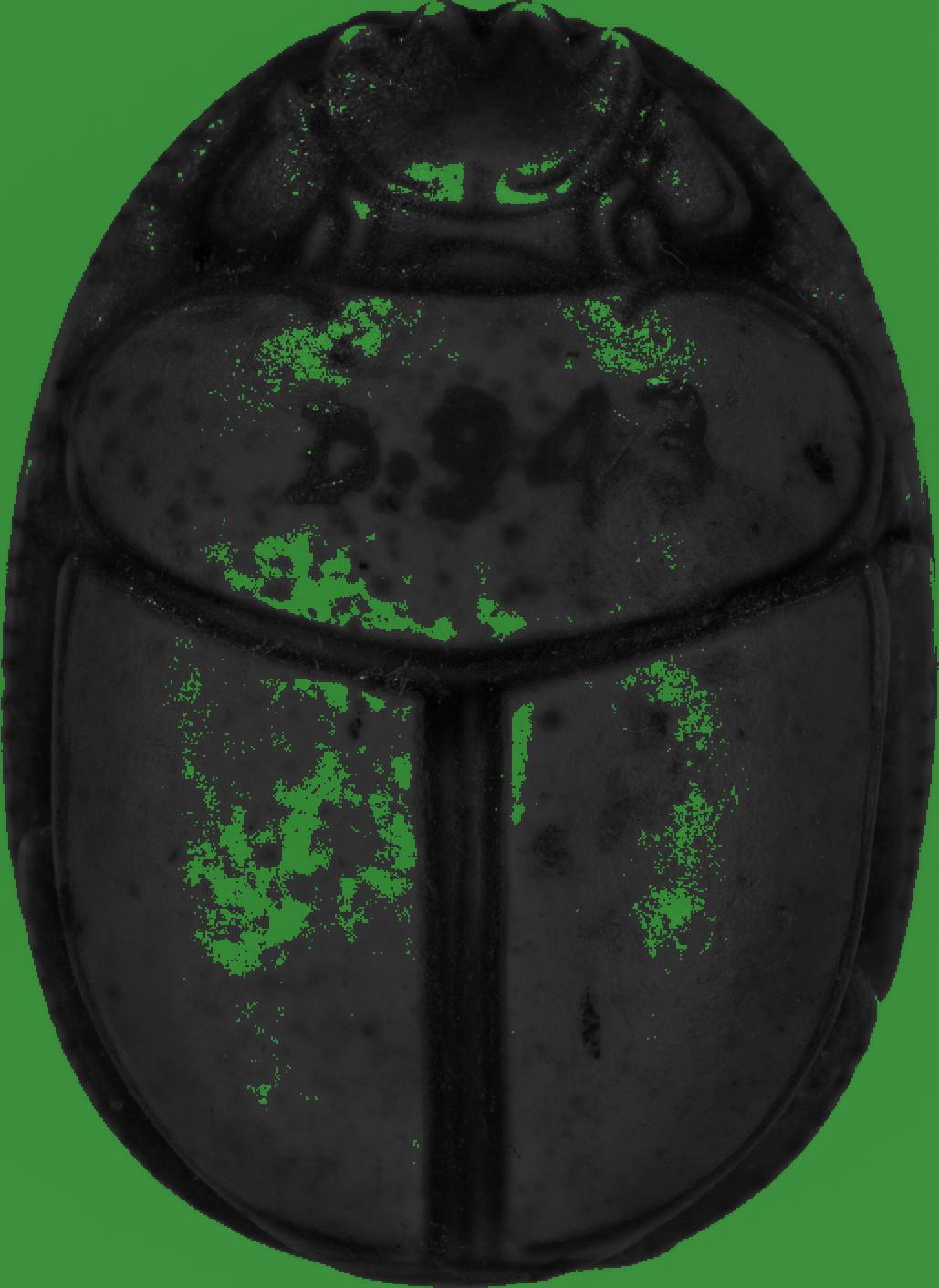 Recoloring of 