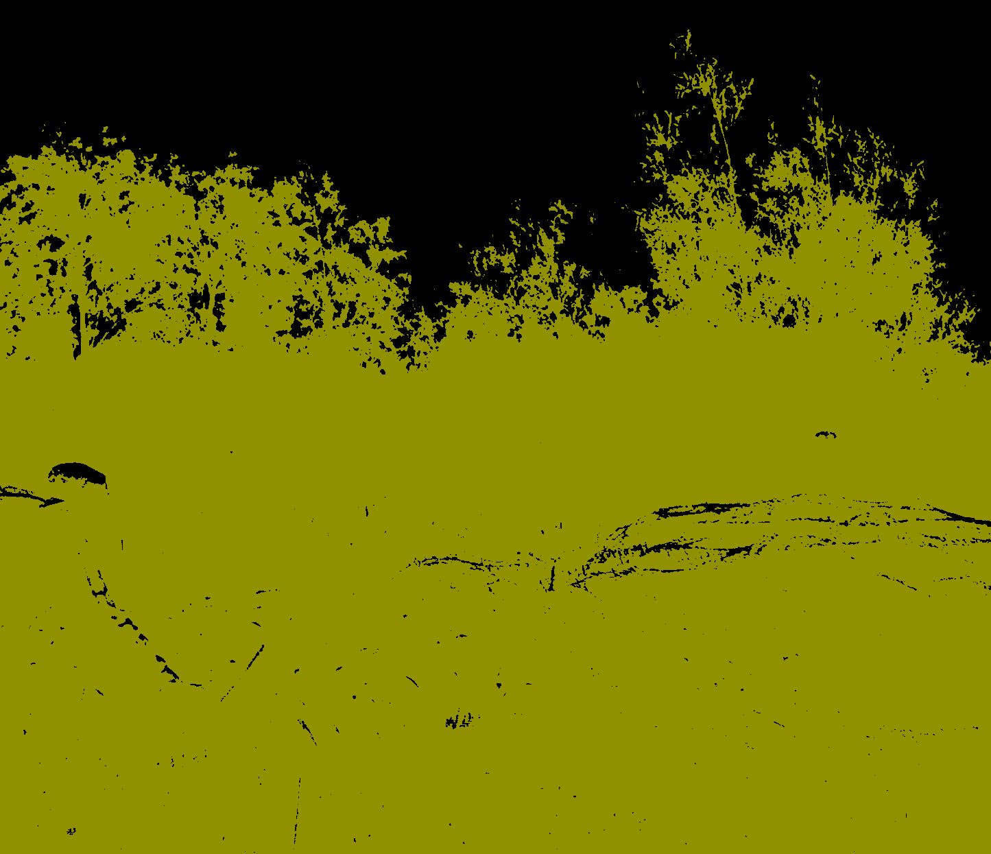 Recoloring of 