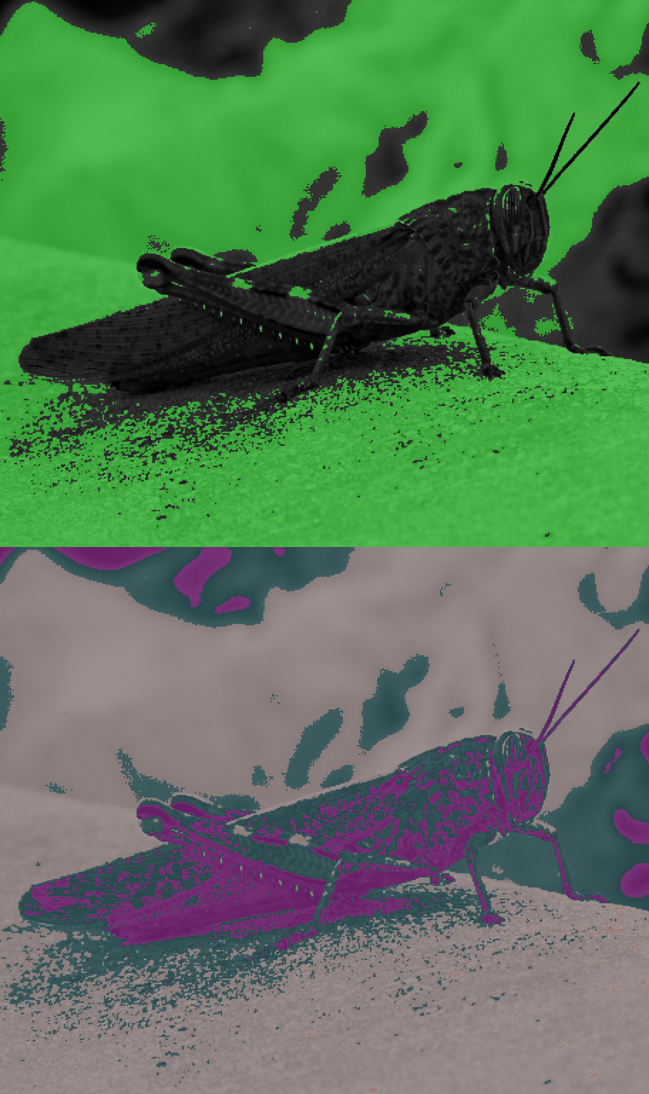 Recoloring of 