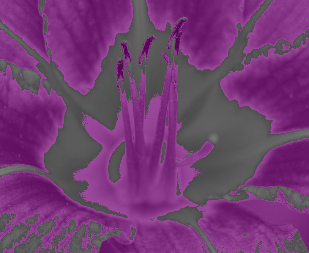 Recoloring of 