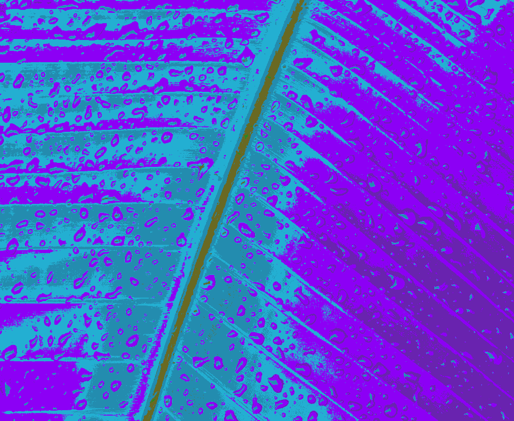 Recoloring of 