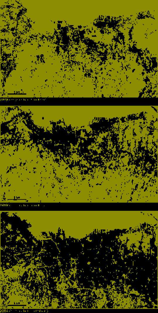 Recoloring of 