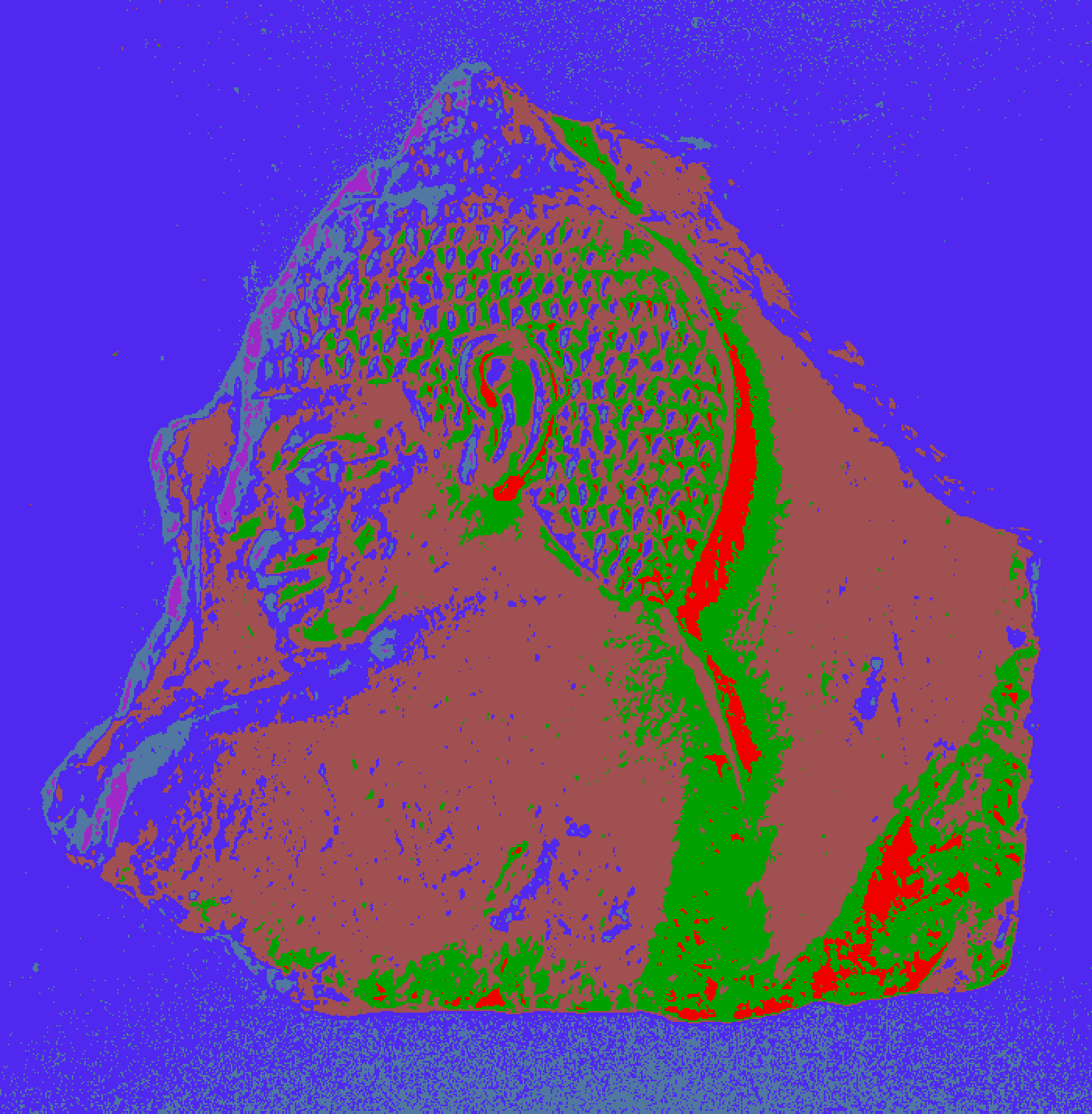 Recoloring of 
