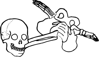 Dem bones dem bones dem – dry bones!