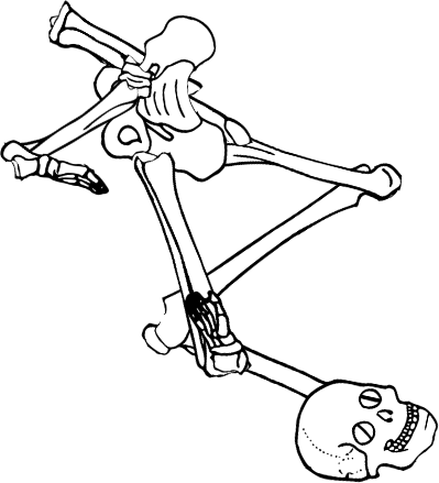 Dem bones dem bones dem – dry bones!
