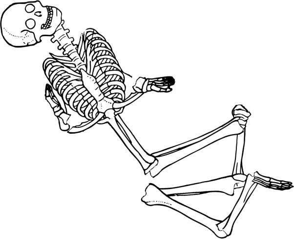 Dem bones dem bones dem – dry bones!