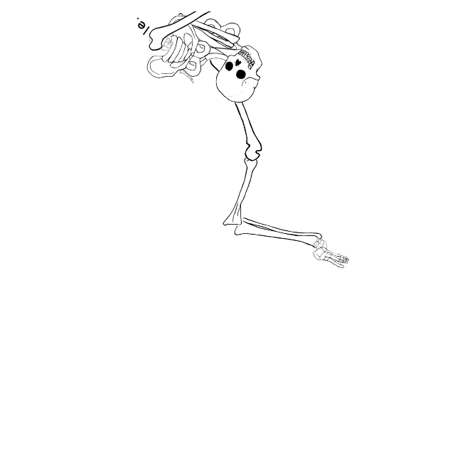 Dem bones dem bones dem – dry bones!