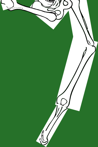 Dem bones dem bones dem – dry bones!