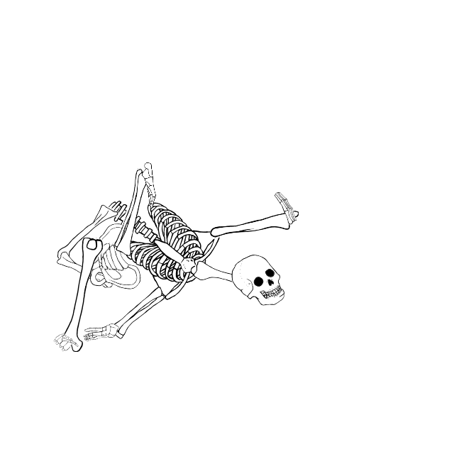 Dem bones dem bones dem – dry bones!