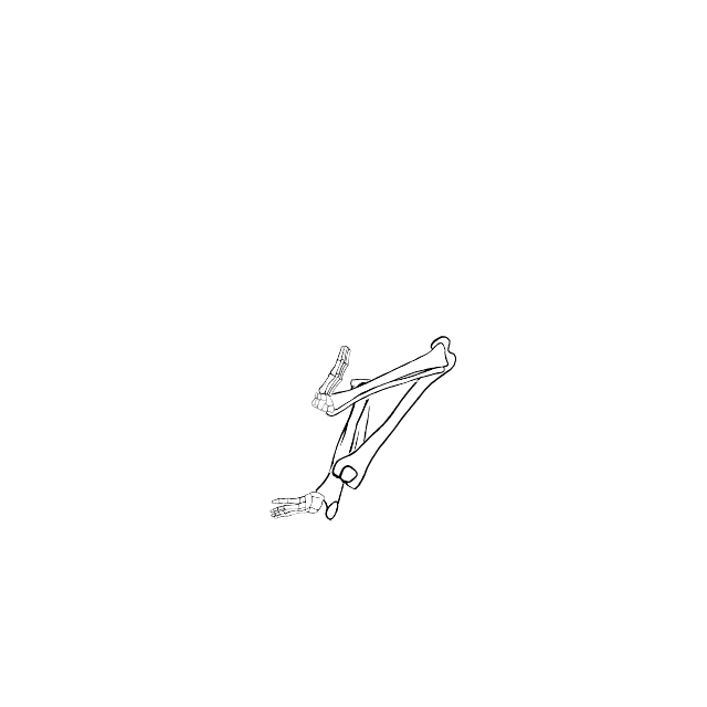 Dem bones dem bones dem – dry bones!