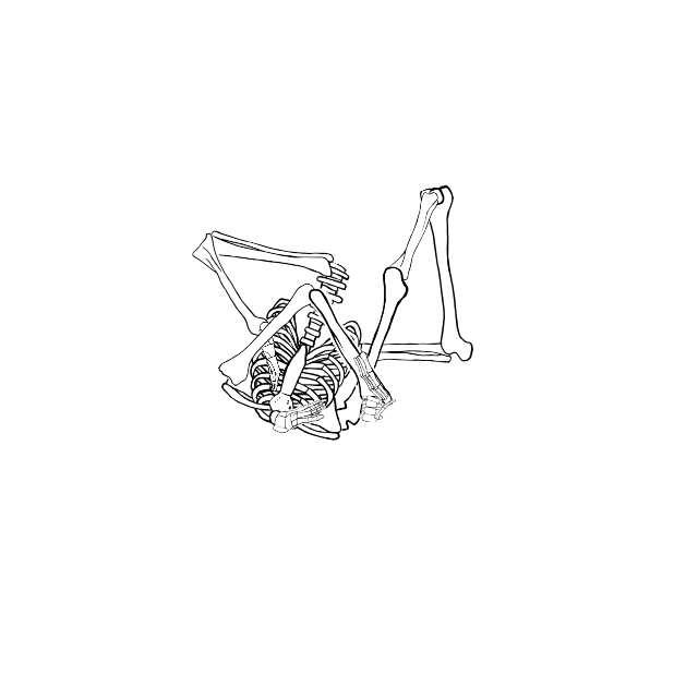 Dem bones dem bones dem – dry bones!