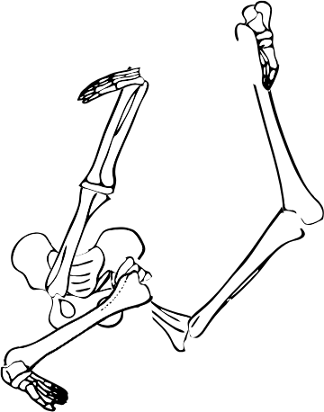 Dem bones dem bones dem – dry bones!