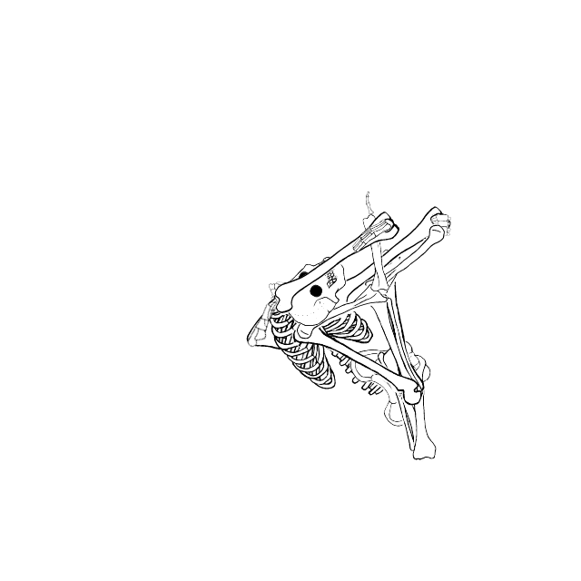 Dem bones dem bones dem – dry bones!