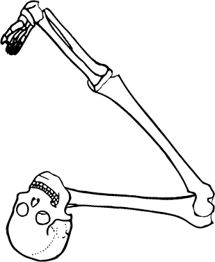 Dem bones dem bones dem – dry bones!