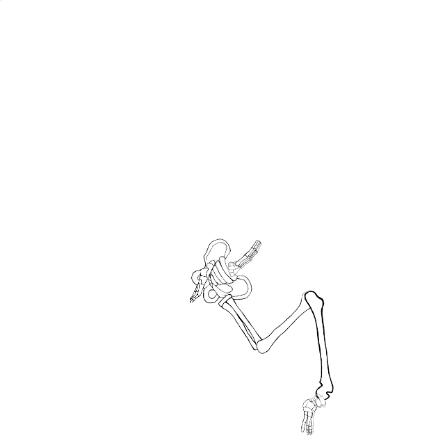Dem bones dem bones dem – dry bones!
