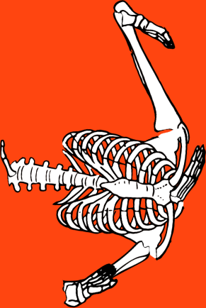 Dem bones dem bones dem – dry bones!