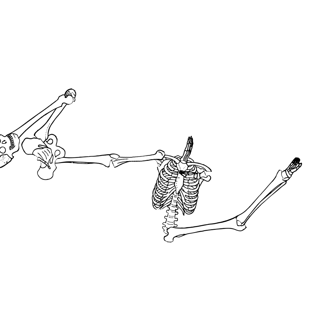 Dem bones dem bones dem – dry bones!