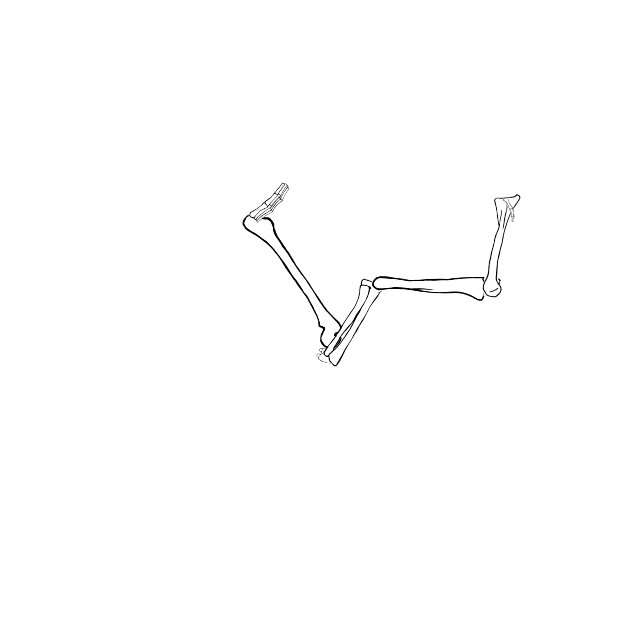 Dem bones dem bones dem – dry bones!