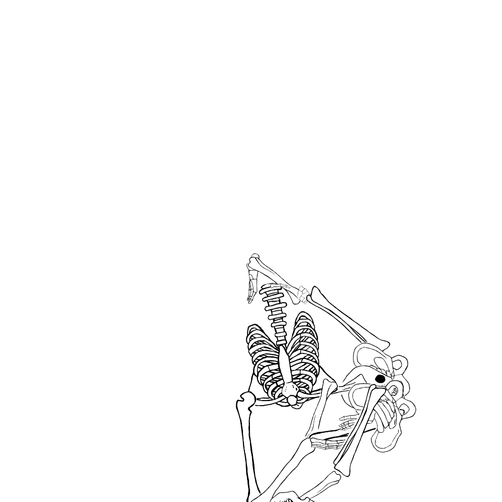 Dem bones dem bones dem – dry bones!