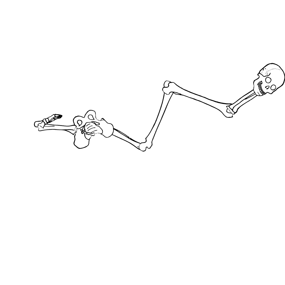 Dem bones dem bones dem – dry bones!