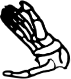 Dem bones dem bones dem – dry bones!