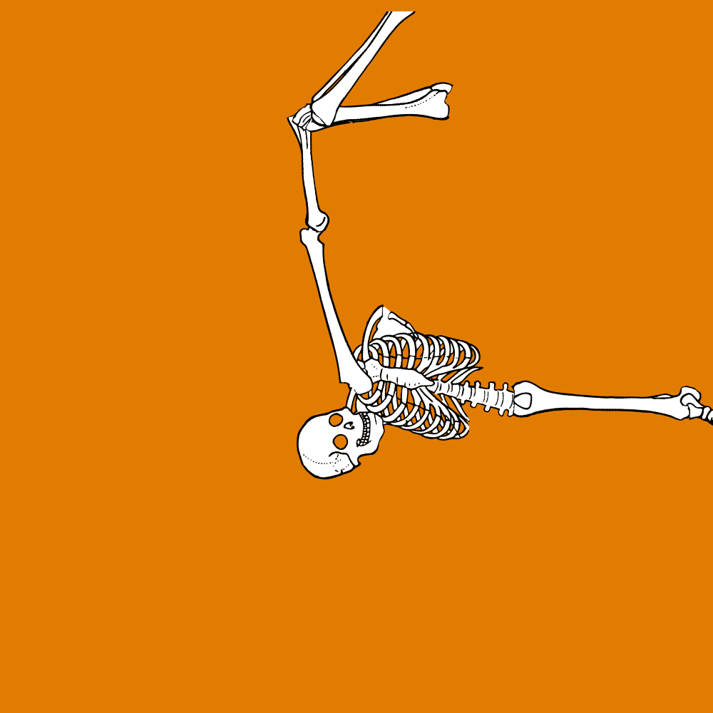 Dem bones dem bones dem – dry bones!