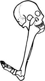 Dem bones dem bones dem – dry bones!